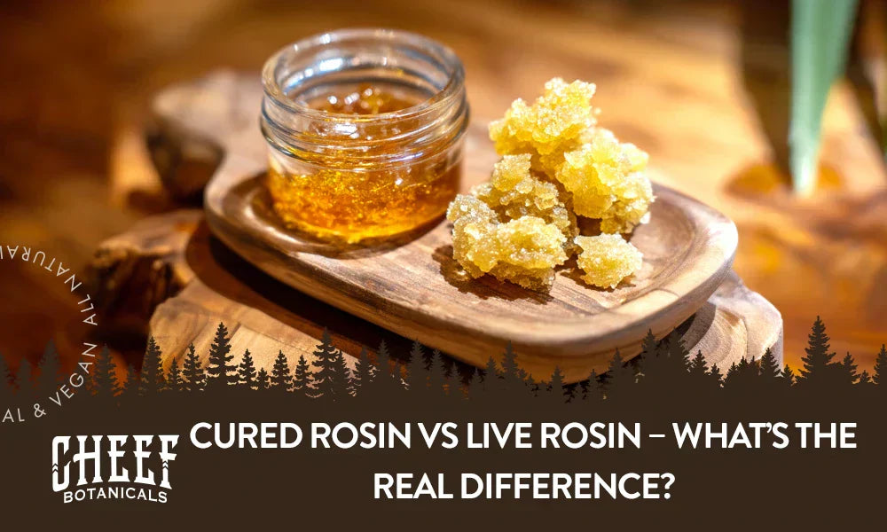 Cured rosin sitting next to live rosin sitting on a wooden table with the title "Cured rosin vs live rosin".