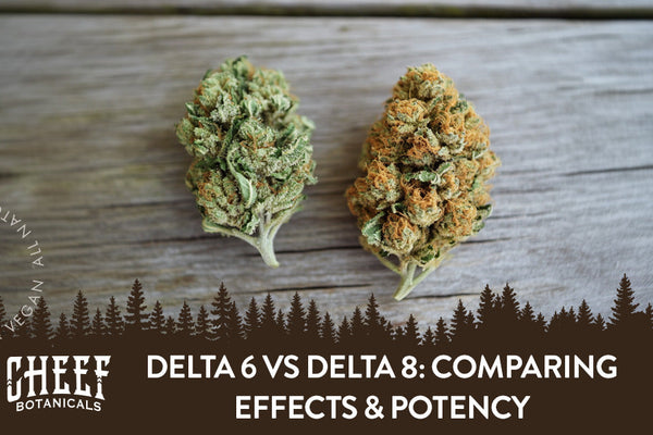 Delta 6 vs Delta 8: Comparing Effects & Potency