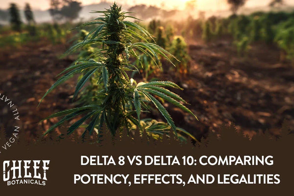 Delta 8 vs Delta 10: Comparing Potency, Effects, and Legalities