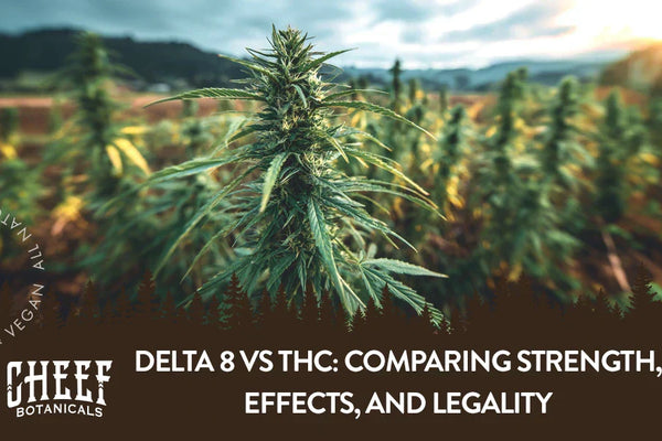 Delta 8 vs THC: Comparing Strength, Effects, and Legality