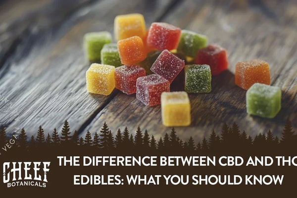The Difference Between CBD and THC Edibles: What You Should Know