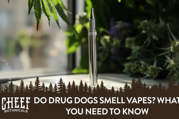 Can Drug Dogs Smell Vapes? What You Need To Know