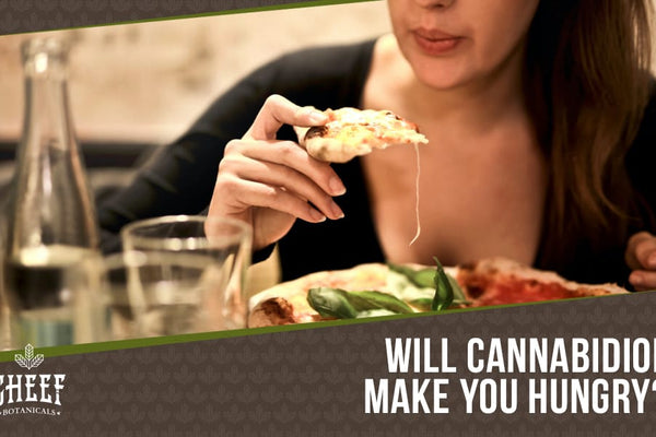 Does CBD Make You Hungry? [Effects on Appetite]