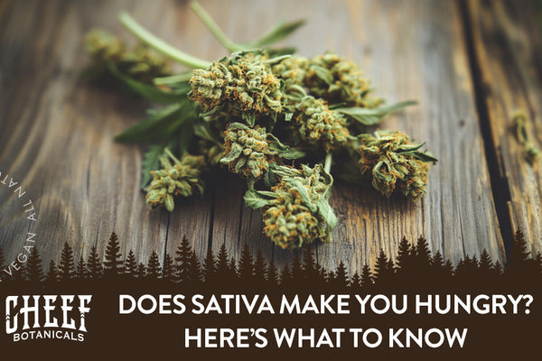 Does Sativa Make You Hungry? Here’s What to Know