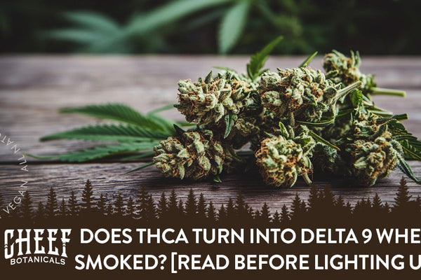 Does THCa Turn Into Delta 9 When Smoked? [Read Before Lighting Up]