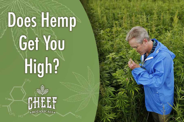Does Hemp Get You High? [Full Guide for Smoking, Vaping, Consumption]