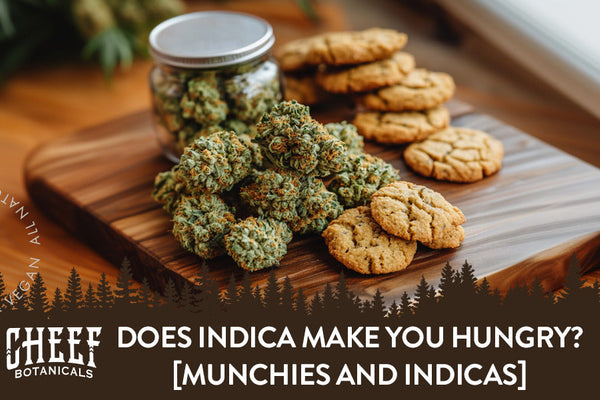 Does Indica Make You Hungry? [Munchies and Indicas]