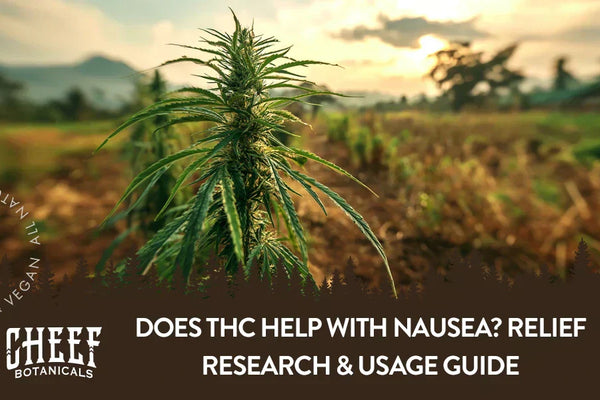 Does THC Help With Nausea? Relief Research & Usage Guide