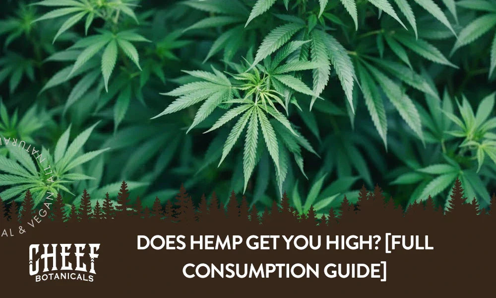 A bunch of hemp plants growing outside with the title "Does hemp get you high".