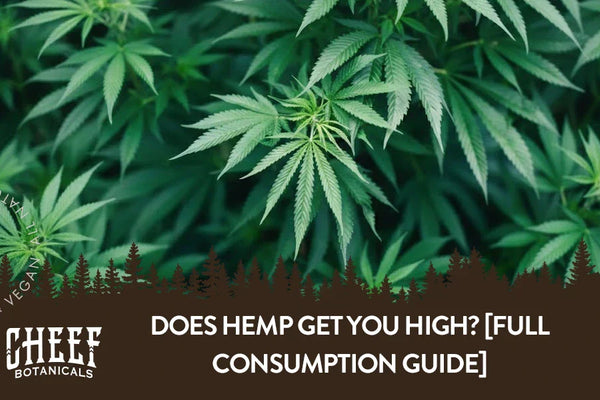 Does Hemp Get You High? [Full Consumption Guide]