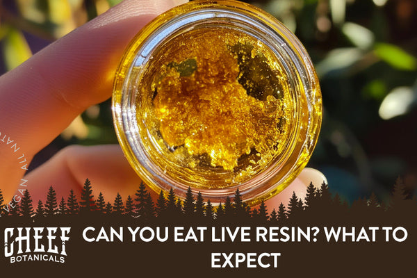 Can You Eat Live Resin? What to Expect