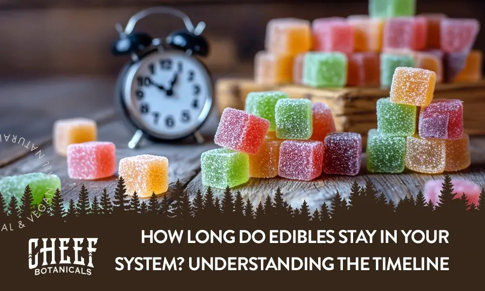 How Long Do Edibles Stay in Your System? [Usage & Timelines]