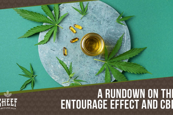 The Entourage Effect, CBD and Everything In Between! [A Go-To Guide]
