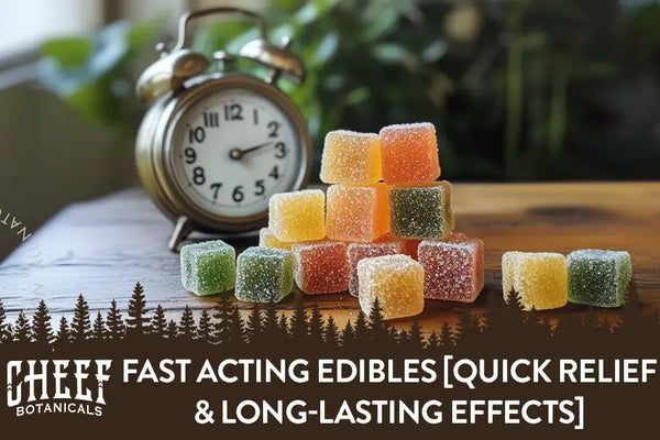 Fast Acting Edibles [Quick Relief & Long-Lasting Effects]