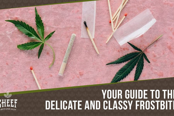 Frostbite CBD Flower: Sativa Hybrid With Tons Of Flavor