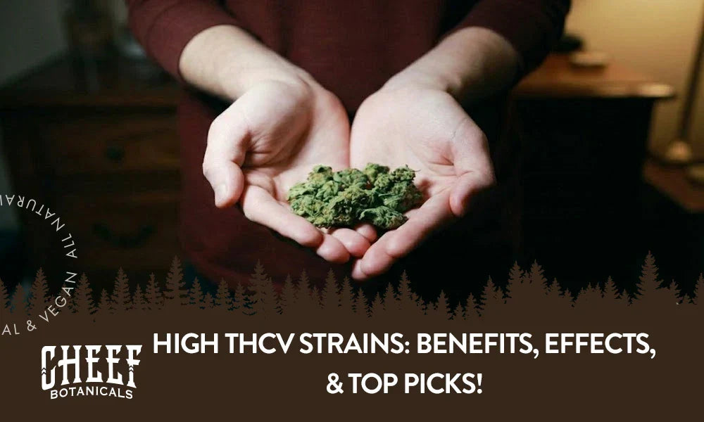 A person holding a bunch of THCv cannabis buds with the title "High THCv strains".