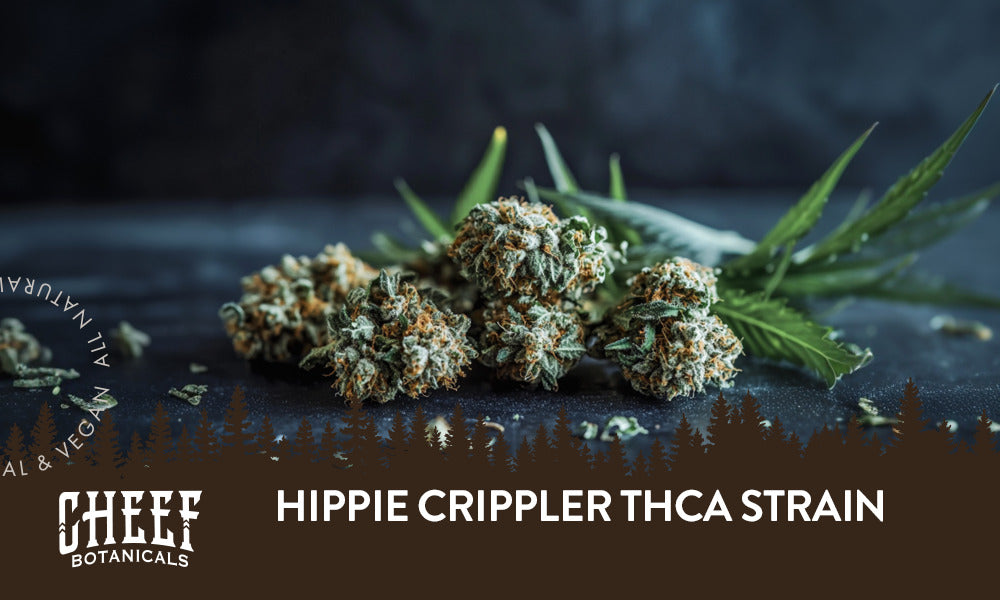 A bunch of Hippie Crippler THCa buds sitting on a table.