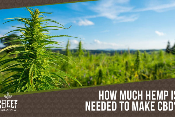 How Many Pounds of Hemp Does it Take to Make CBD?