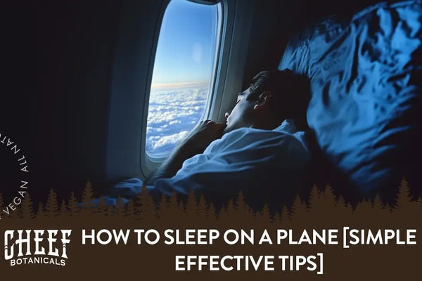How to Sleep on a Plane [Simple Effective Tips]
