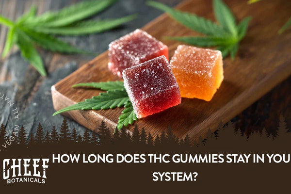 How Long Does THC Gummies Stay in Your System?