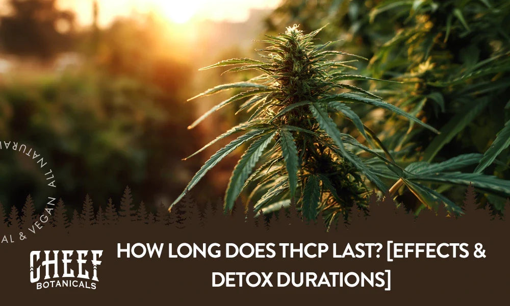 A THCp cannabis plant growing outside with the title "How long does THCp last".