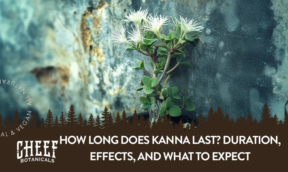 A kanna plant growing outside with the title "How long does kanna last".