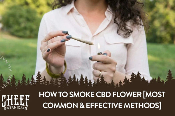 How to Smoke CBD Flower [Most Common & Effective Methods]