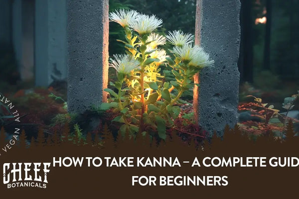 How to Take Kanna – A Complete Guide for Beginners