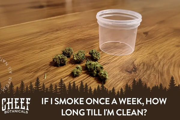 If I Smoke Once a Week, How Long Till I'm Clean?