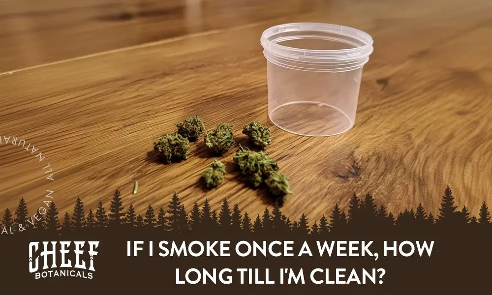 If I Smoke Once a Week, How Long Till I'm Clean?