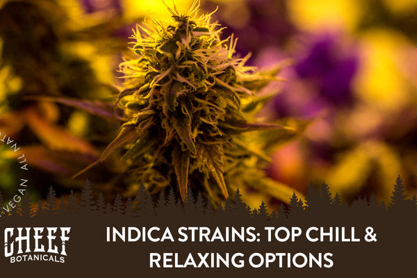 Best Indica Strains: Top Chill & Relaxing Options