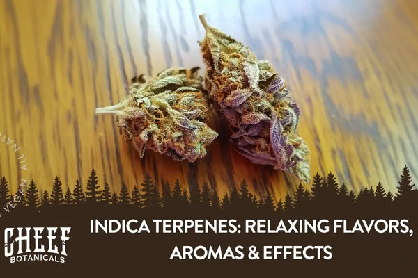 Indica Terpenes: Relaxing Flavors, Aromas & Effects