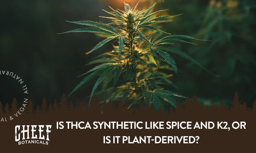 A cannabis plant growing naturally outside with the title "Is THCa synthetic".