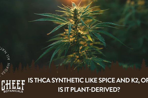 Is THCa Synthetic Like Spice and K2, or Is It Plant-Derived?