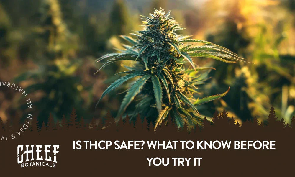 A cannabis plant growing outside with the title "Is THCp safe".