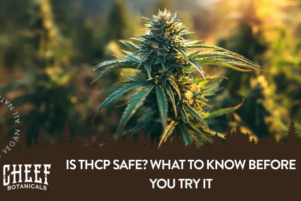 Is THCP Safe? What to Know Before You Try It