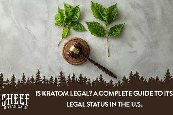 Is Kratom Legal? A Complete Guide to Its Legal Status in the U.S.