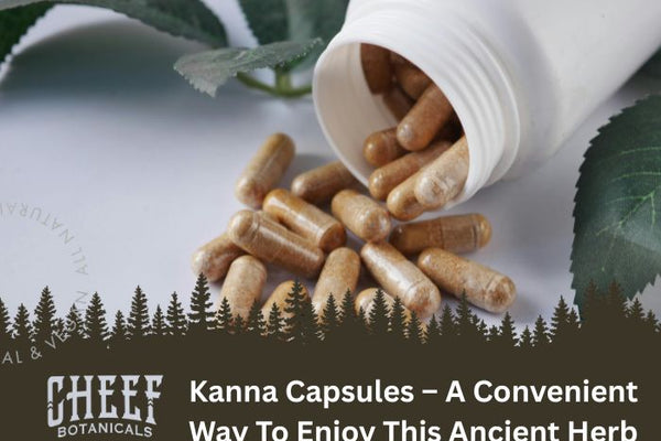 Kanna Capsules – A Convenient Way To Enjoy This Ancient Herb
