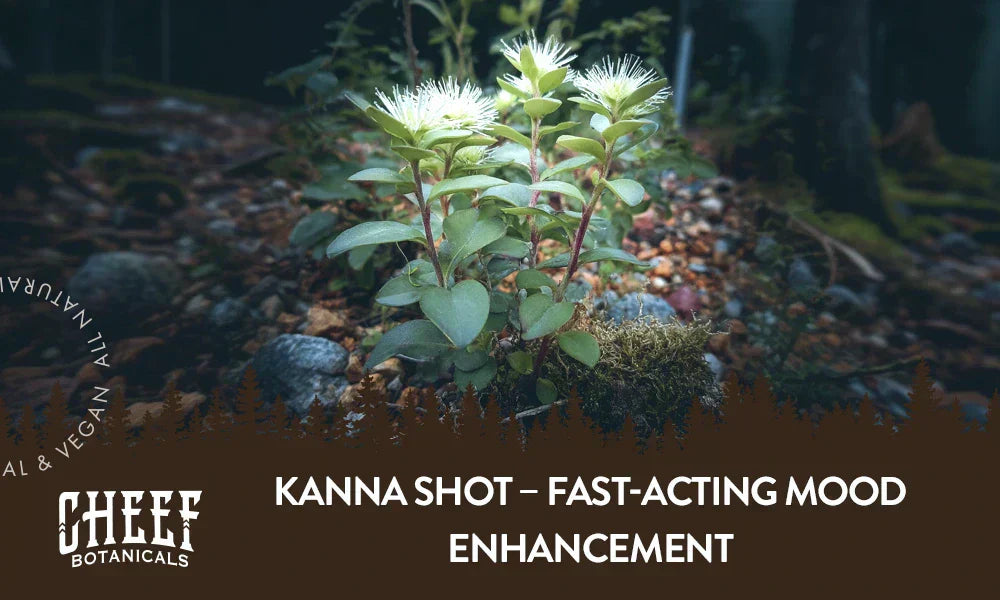 A kanna plant growing outside with the title "Kanna shot".