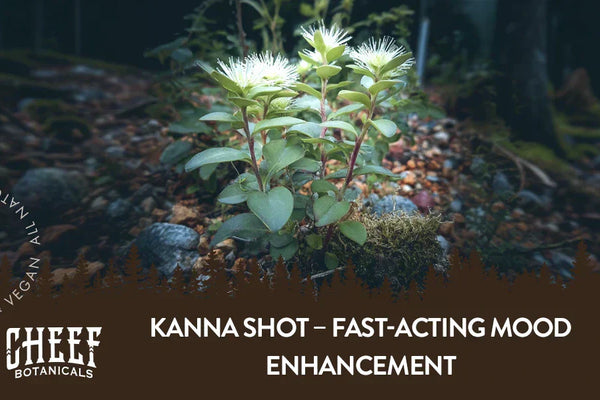 Kanna Shot: Fast-Acting Mood Enhancement