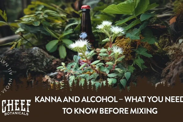 Kanna and Alcohol – What You Need to Know Before Mixing