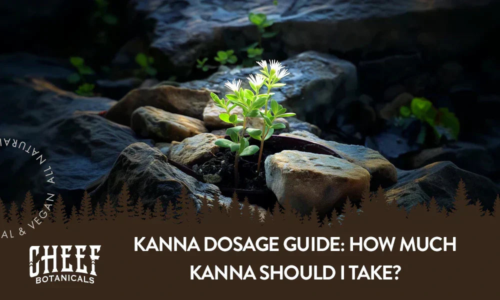 A kanna plant growing naturally outside with the title "Kanna dosage".