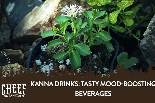 Kanna Drinks: Tasty Mood-Boosting Beverages