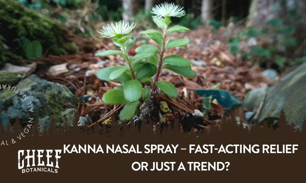 A kanna plant growing outside with the title "Kanna nasal spray".