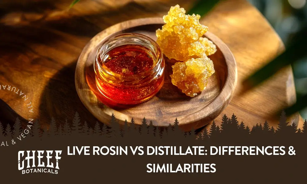 Live rosin and distillate on a wooden table with the title "Live rosin vs distillate".