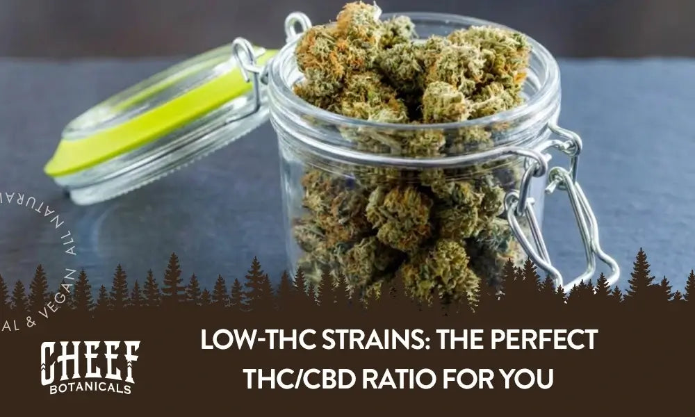 A mason jar with an air tight clasp with a bunch of cannabis nugs in it with the title "Low THC strains".