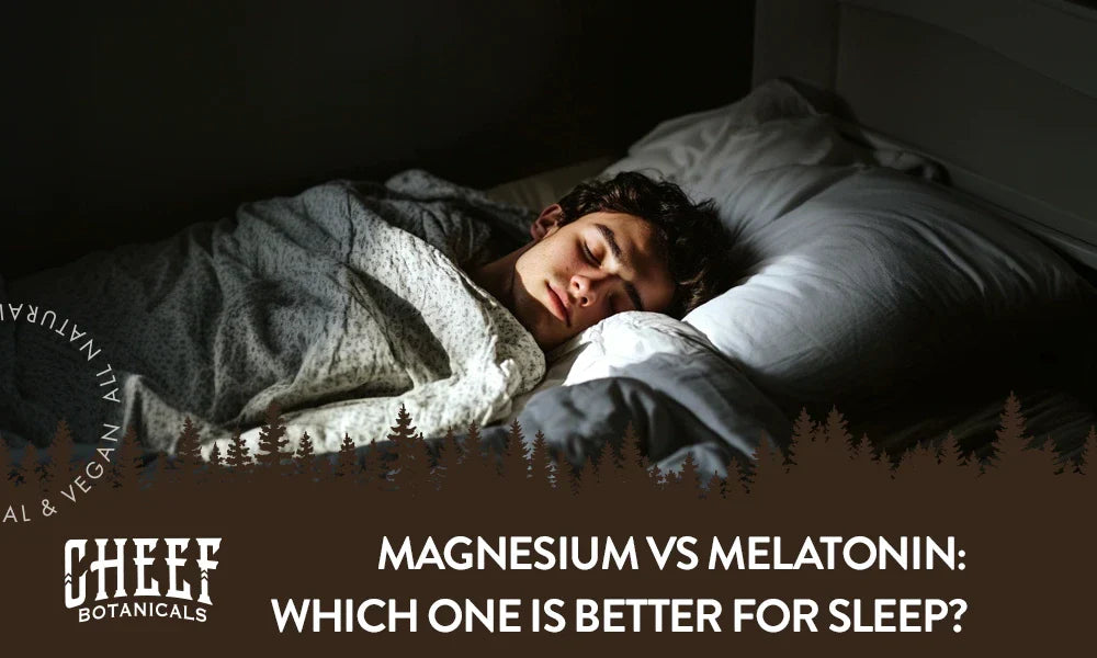 Magnesium vs Melatonin: Which One is Better for Sleep?