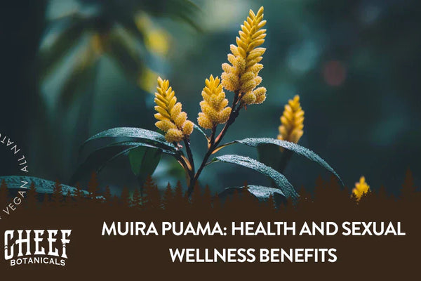 Muira Puama: Health and Sexual Wellness Benefits