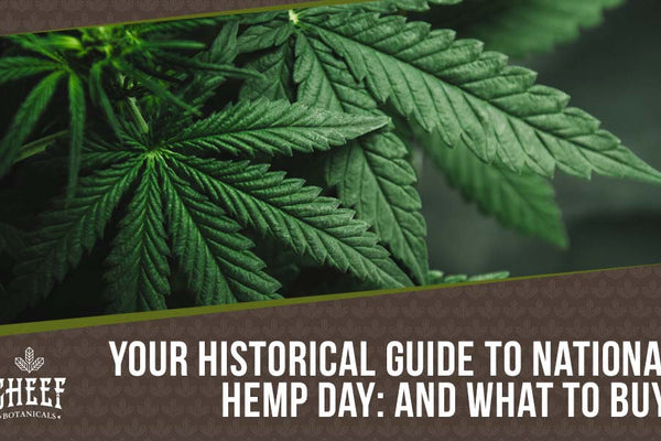 National Hemp Day: The Best Way To Celebrate Is To Stock Up!