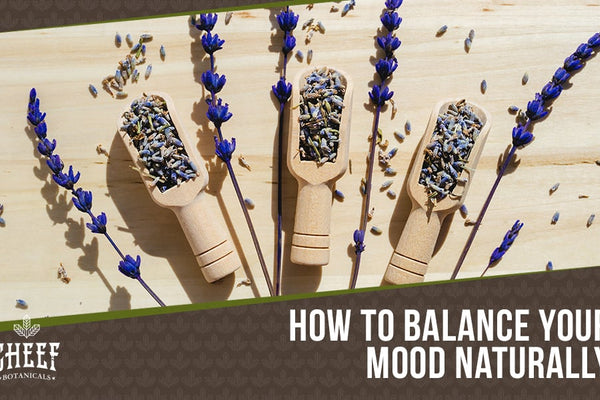Natural Mood Stabilizers: Find Mental Peace the Right Way!